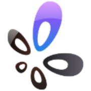 custom_website